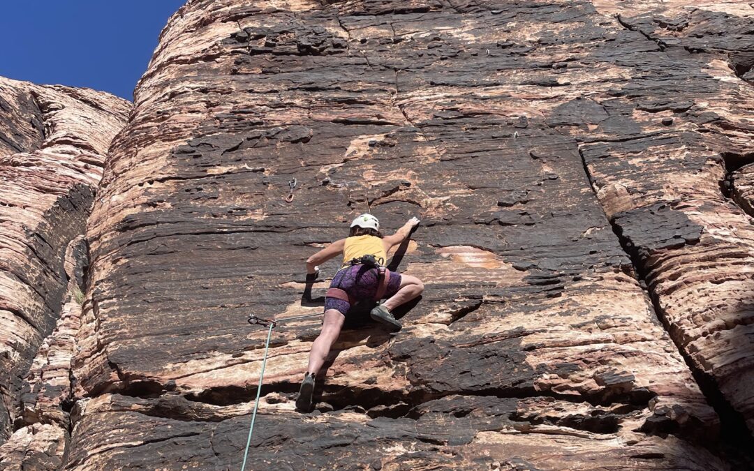 Everything I Needed to Know, I Could Have Learned from Rock-Climbing